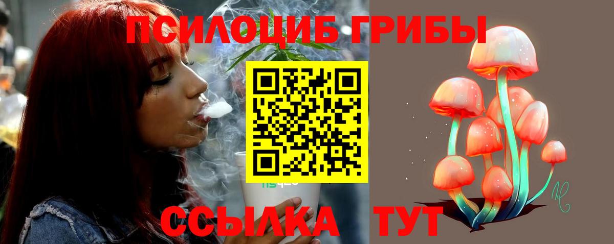 Псилоцибиновые грибы GOLDEN TEACHER Назарово